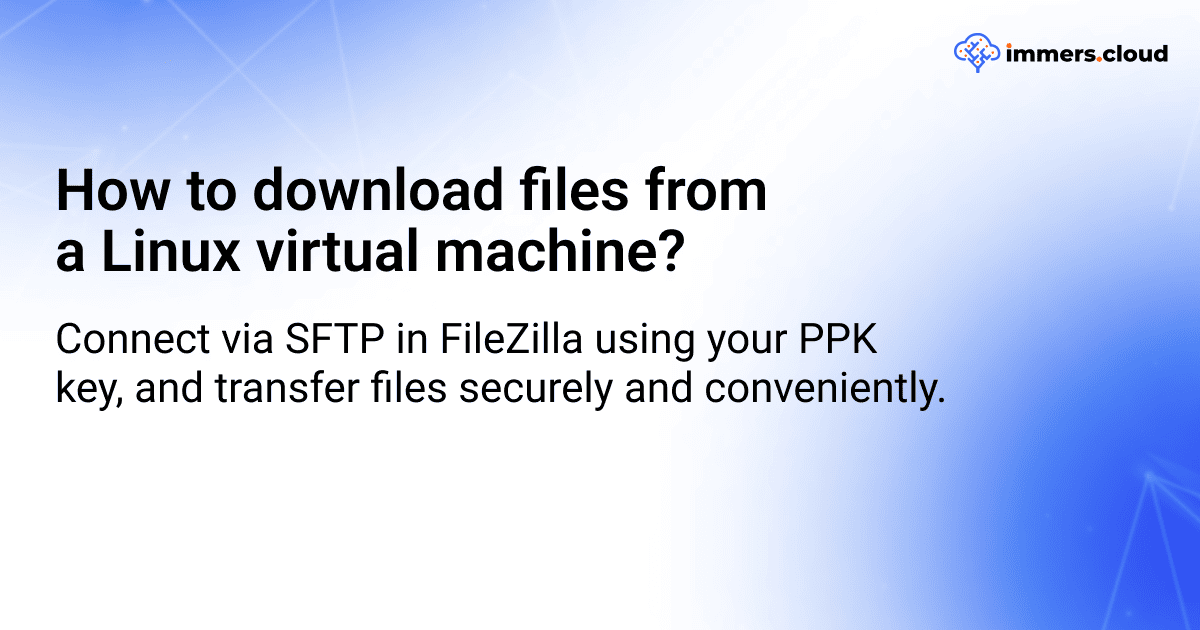 How to download files from a Linux Virtual Machine?